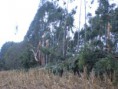 /album/a%c3%a7%c3%b5es%20de%20defesa%20civil/cimg0028-12-jpg/